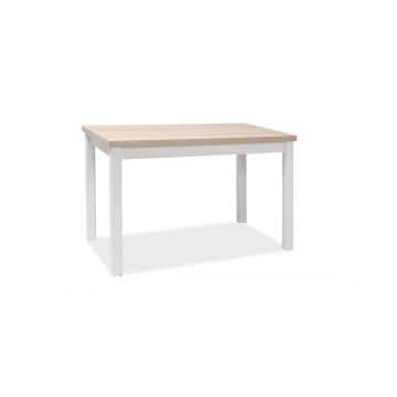 Masa din pal si MDF, Adamaris Stejar Sonoma / Alb, L100xl60xH75 cm