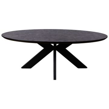 MASĂ din metal, plastic, material pe bază de lemn 220/120/76 cm