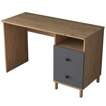 Birou, Rani, HA109, 120x73.8x50 cm, PAL, Nuc / Antracit