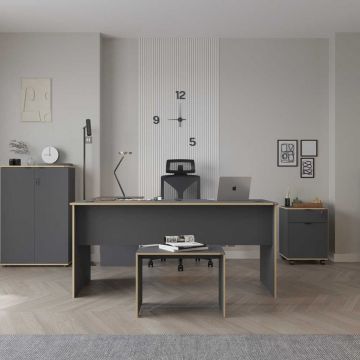 Birou, Adore, Rms-320-Ax-1, Antracit / Stejar
