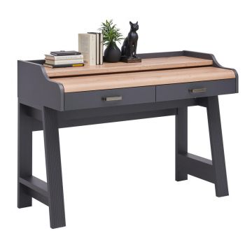 Birou in stejar Artisan