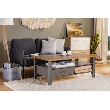 Masuta de cafea Luzerna, Inter Link, 115x45x60 cm, lemn, gri/sepia