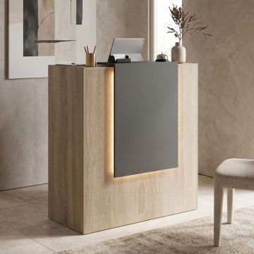 Receptie birou, Zowel, Gri inchis, 40x90x110 cm