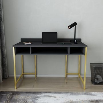 Birou Alma, Diverse culori, 120x60x75 cm - Auriu - Antracit